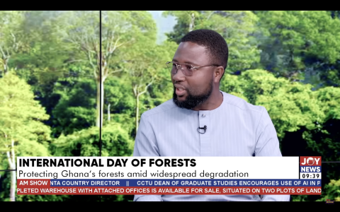 International Day of Forests 2025